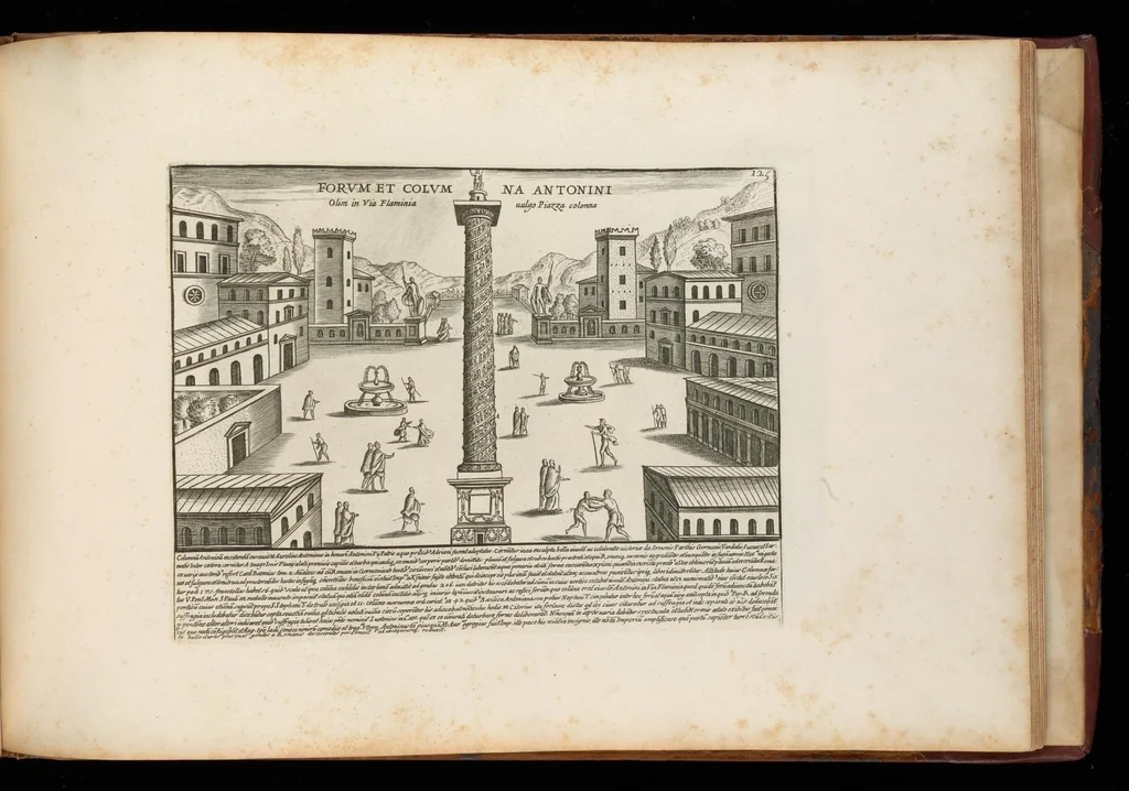 An illustration from Romanæ magnitvdinis monvmenta : qvæ vrbem illam orbis dominam velvt redivivam exhibent posteritati, vetervm recentiorvmqve qvotqvot hac de re scripservnt avthoritate probata, qvibvs svffragantvr nvmismata, et mvsea principvm præsertim fragmenta marmorea Farnesiana, qvæ vrbis antiqvæ ichnographiam continent, 1699, leaf 252