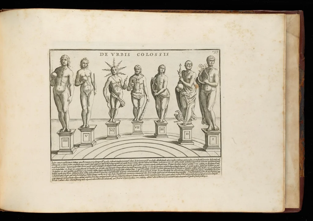 An illustration from Romanæ magnitvdinis monvmenta : qvæ vrbem illam orbis dominam velvt redivivam exhibent posteritati, vetervm recentiorvmqve qvotqvot hac de re scripservnt avthoritate probata, qvibvs svffragantvr nvmismata, et mvsea principvm præsertim fragmenta marmorea Farnesiana, qvæ vrbis antiqvæ ichnographiam continent, 1699, leaf 276