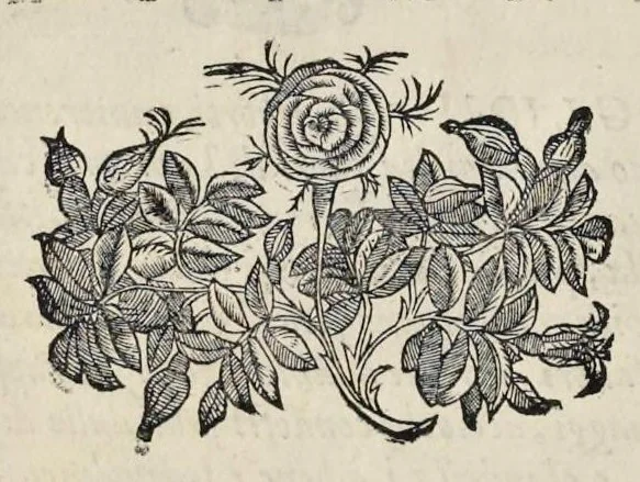 An illustration from La pratica di prospettiua del Caualiere Lorenzo Sirigatti : al Sermo. Ferdinando Medici granduca di Toscana, 1596, leaf 7