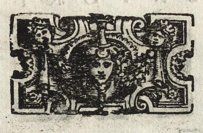 An illustration from Commentarii della gverra di Transilvania, 1565, leaf 16
