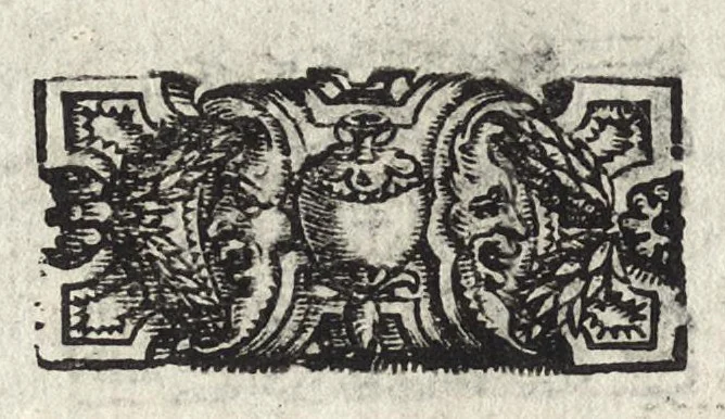An illustration from Commentarii della gverra di Transilvania, 1565, leaf 19