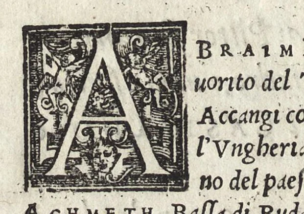 An illustration from Commentarii della gverra di Transilvania, 1565, leaf 19
