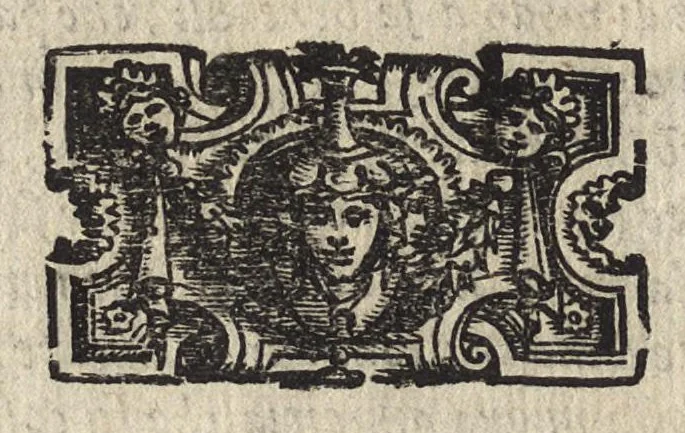 An illustration from Commentarii della gverra di Transilvania, 1565, leaf 195