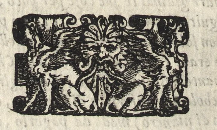 An illustration from Commentarii della gverra di Transilvania, 1565, leaf 255