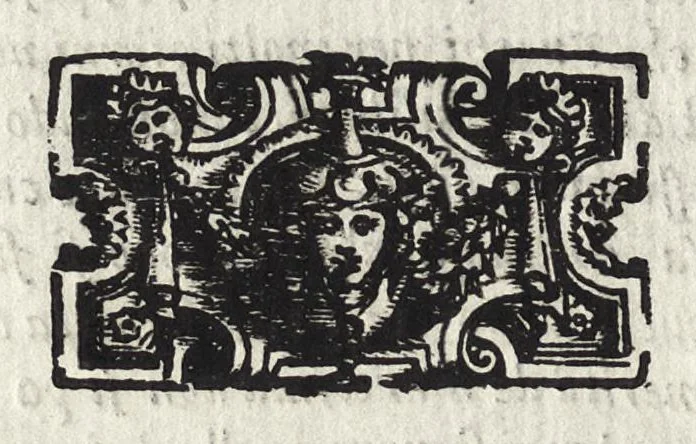 An illustration from Commentarii della gverra di Transilvania, 1565, leaf 289