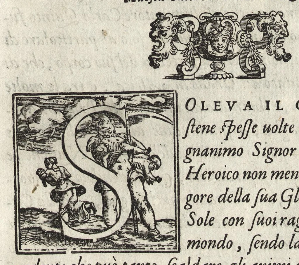 An illustration from Commentarii della gverra di Transilvania, 1565, leaf 314