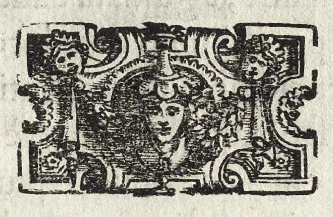 An illustration from Commentarii della gverra di Transilvania, 1565, leaf 38