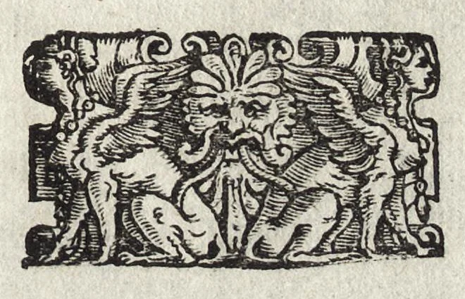 An illustration from Commentarii della gverra di Transilvania, 1565, leaf 42