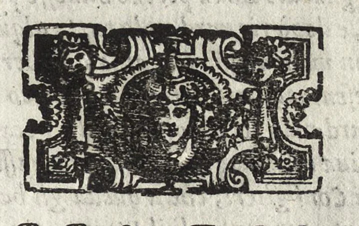 An illustration from Commentarii della gverra di Transilvania, 1565, leaf 44