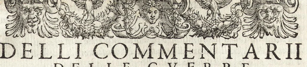 An illustration from Commentarii della gverra di Transilvania, 1565, leaf 554