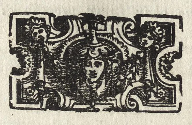 An illustration from Commentarii della gverra di Transilvania, 1565, leaf 87