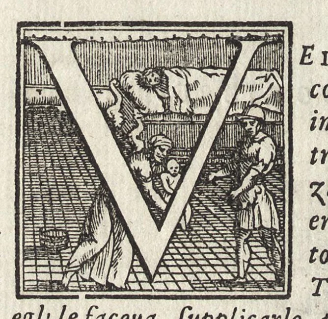 An illustration from Commentarii della gverra di Transilvania, 1565, leaf 87