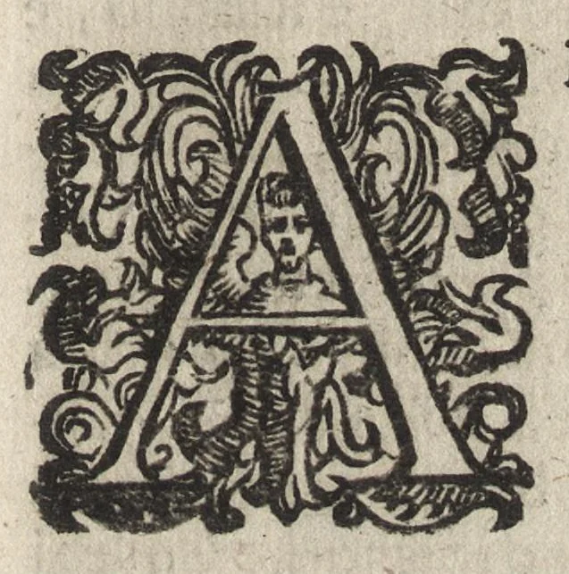 An illustration from Storie della citta di Firenze dall' anno 1410. al 1460. Scritte nelli stessi tempi che accaddono da Domenico di Lionardo Boninsegni. Le quali si sono arricchite di postille, e di due tauole, vna delle cose più notabili, e l'altra delle famiglie, e casati di Firenze, menzionate in dette storie, 1637, leaf 104