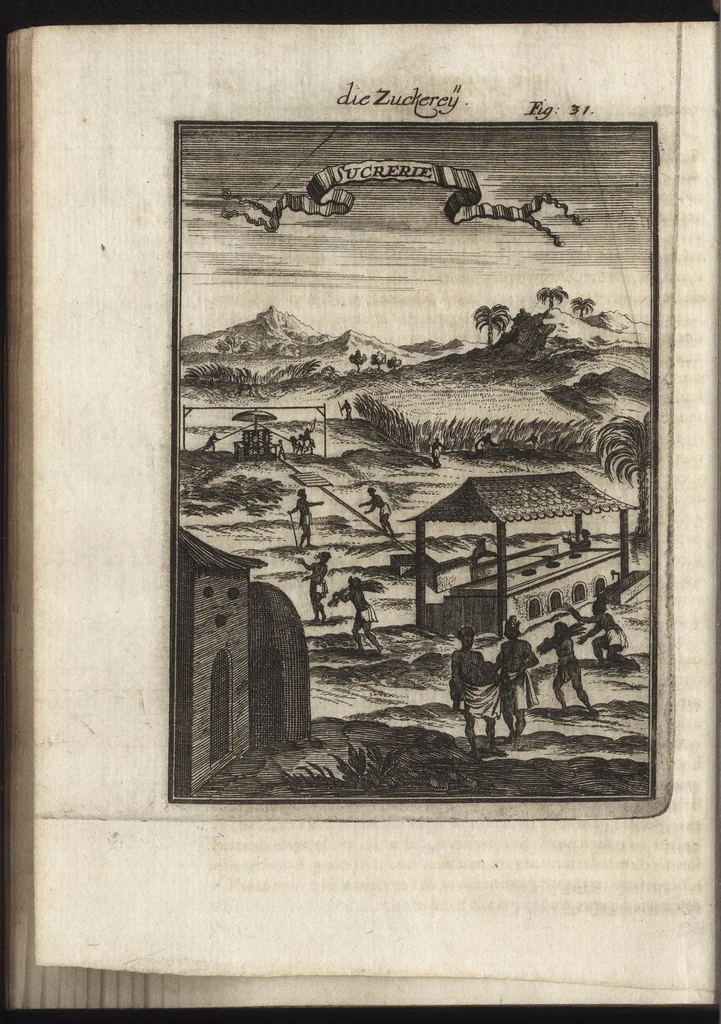 An illustration from Description de l'univers : contenant les differents systemes du monde, les cartes generales & particulieres de la geographie ancienne & moderne, les plans & les profils des principales villes & des autres lieux plus considerables de la Terre : avec les portraits des souverains qui y commandent, leurs blasons, titres & livrées : et les moeurs, religions, gouvernemens & divers habillemens de chaque nation, 1685, leaf 441