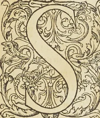 An illustration from Second livre d'architectvre, contenant plusieurs & diuerses ordonances de cheminees, lucarnes, portes, fonteines, puis & pauillons, pour enrichir tant le dedans que le dehors de tous edifices. Auec les desseins de dix sepultures toutes differentes, 1561, leaf 8