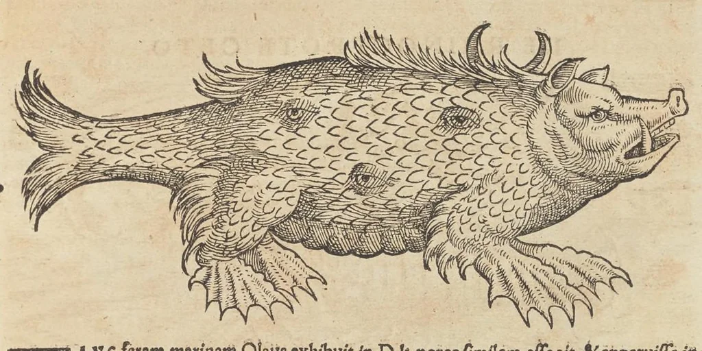 An illustration from Historiæ animalivm ..., 1551, leaf 290