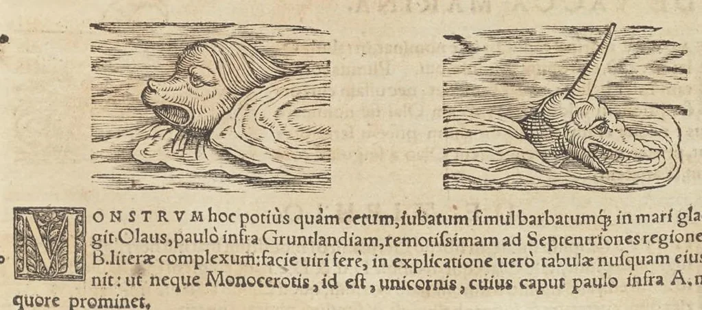 An illustration from Historiæ animalivm ..., 1551, leaf 290