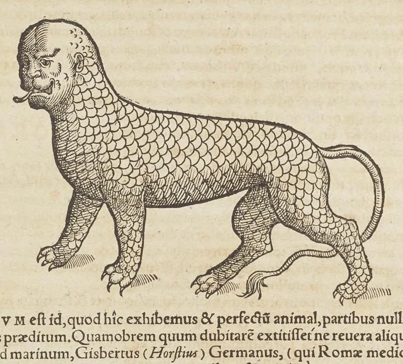 An illustration from Historiæ animalivm ..., 1551, leaf 601