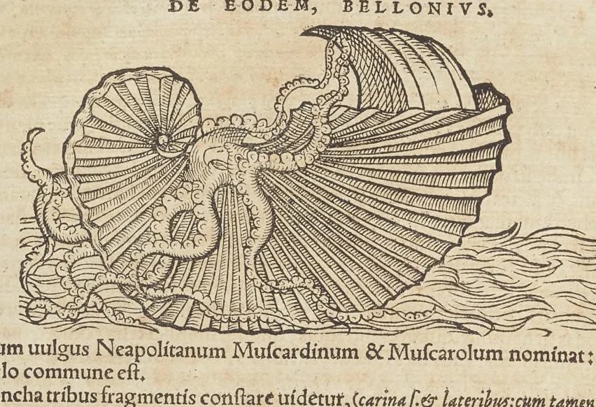An illustration from Historiæ animalivm ..., 1551, leaf 777