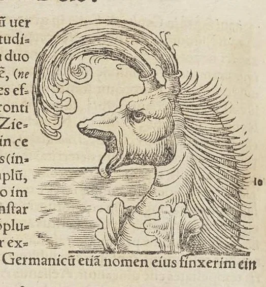An illustration from Historiæ animalivm ..., 1551, leaf 897
