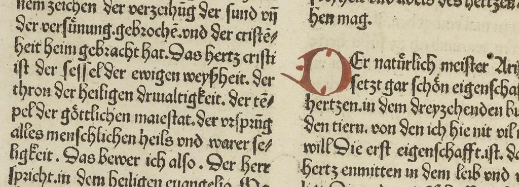 An illustration from Schatzbehalter, oder, Schrein der wahren Reichtümer des Heils unnd ewyger Seligkeit genant ..., leaf 357