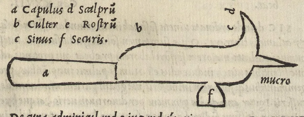 An illustration from Libri de re rvstica : M. Catonis Lib. I. M. Terrentii Varronis Lib. III. L. Ivnii Moderati Colvmellae Lib. XII. Eiusdem De arboribus liber, separatus ab alijs, quare autem id factum fuerit, ostenditur in epistola ad lectorem. Palladii Lib. XIIII. De duobus dierum generibus, simulq[ue] de umbris & horis, quae apud Palladium, in alia epistola ad lectorem. Georgii Alexandrini Enarrationes priscarum dictionum, quae in his libris Catonis, Varronis, Colummelae, 1514, leaf 308