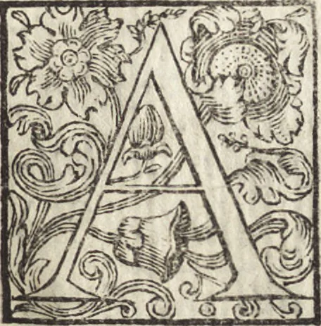 An illustration from Due trattati di Benvenuto Cellini, scultore fiorentino : uno dell'oreficeria, l'altro della scultura, 1731, leaf 28