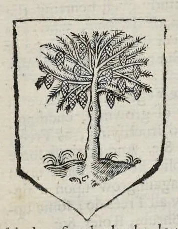 An illustration from A display of heraldry : manifesting a more easie access to the knowledge thereof than hath been hitherto published by any, through the benefit of method, 1679, leaf 115