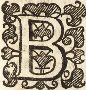 An illustration from The voyage of Italy, or, A compleat journey through Italy : in two parts : with the characters of the people, and the description of the chief towns, churches, monasteries, tombs, libraries, pallaces, villa's, gardens, pictures, statues, and antiquities : as also of the interest, government, riches, force, &c. of all the princes : with instructions concerning travel, 1670, leaf 50