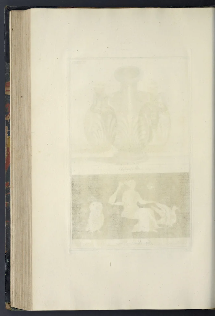 An illustration from Picturae Etruscorum in vasculis nunc primum in unum collectae explicationibus, et dissertationibus inlustratae, 1767, leaf 229