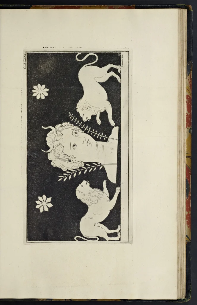 An illustration from Picturae Etruscorum in vasculis nunc primum in unum collectae explicationibus, et dissertationibus inlustratae, 1767, leaf 404