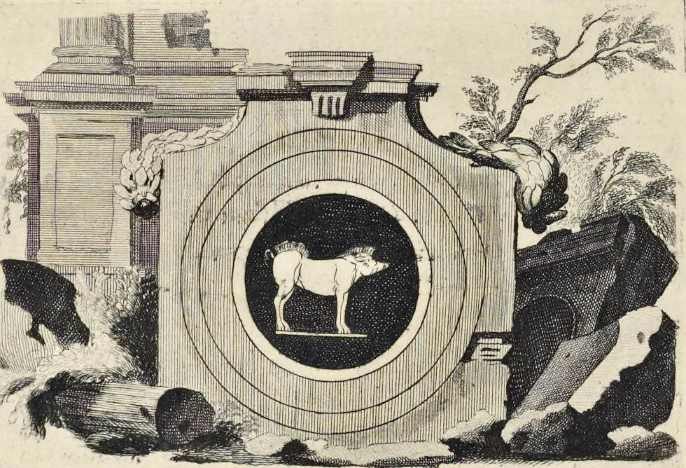 An illustration from Picturae Etruscorum in vasculis nunc primum in unum collectae explicationibus, et dissertationibus inlustratae, 1767, leaf 75