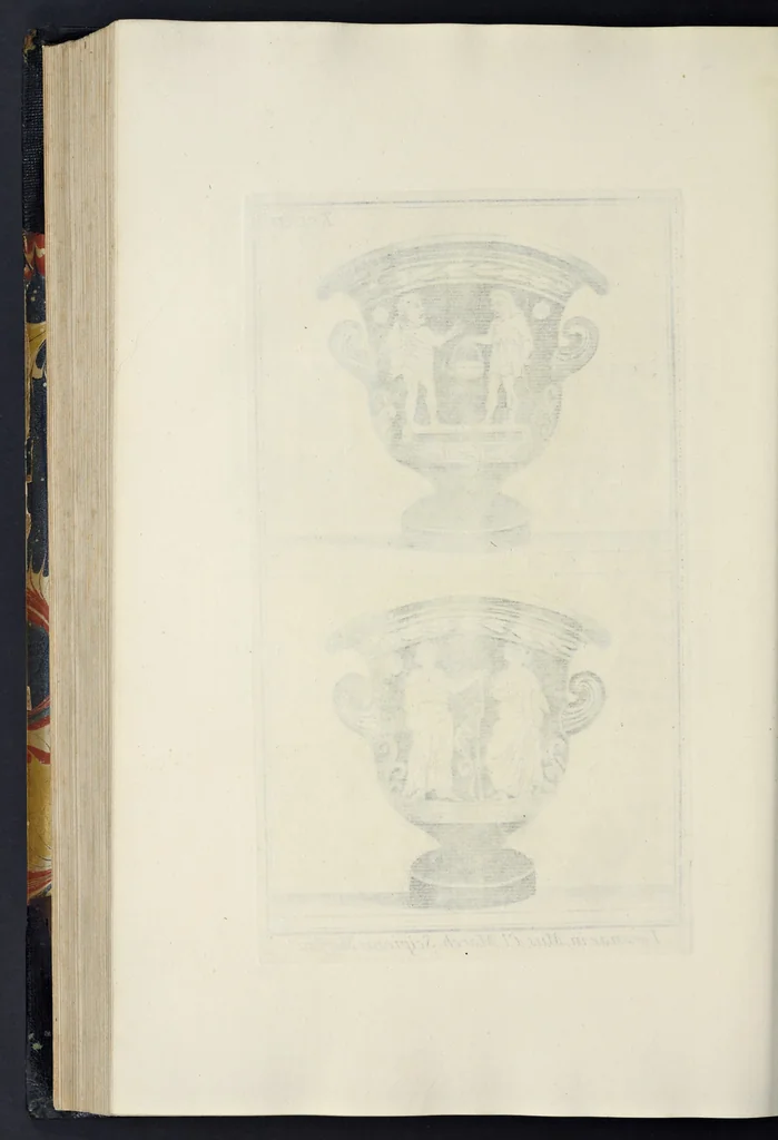 An illustration from Picturae Etruscorum in vasculis nunc primum in unum collectae explicationibus, et dissertationibus inlustratae, 1767, leaf 309
