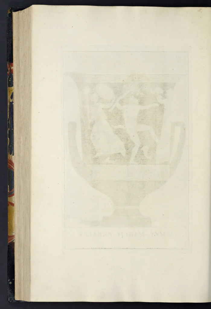 An illustration from Picturae Etruscorum in vasculis nunc primum in unum collectae explicationibus, et dissertationibus inlustratae, 1767, leaf 313