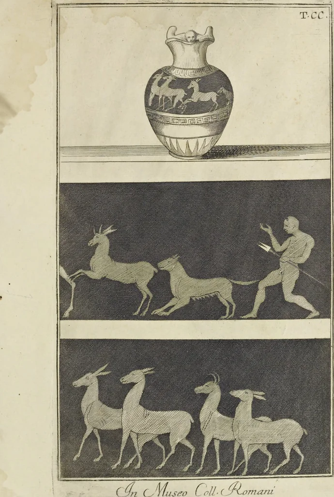 An illustration from Picturae Etruscorum in vasculis nunc primum in unum collectae explicationibus, et dissertationibus inlustratae, 1767, leaf 380
