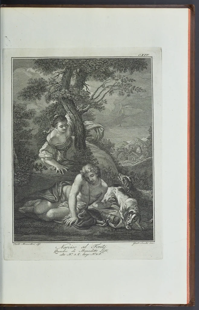 An illustration from L'Etruria pittrice, ovvero, Storia della pittura toscana, dedotta dai suoi monumenti che si esibiscono in stampa dal secolo X. fino al presente, 1791, leaf 224