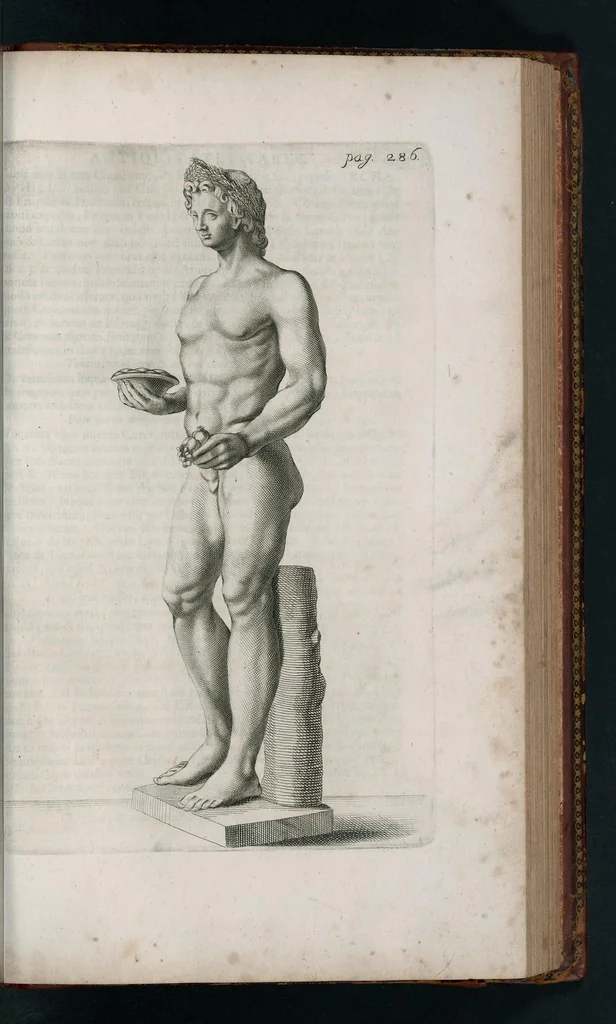 An illustration from Thesaurus Brandenburgicus selectus, sive, Gemmarum et numismatum Graecorum in cimeliarchio electorali Brandenburgico elegantiorum series, 1696, leaf 318