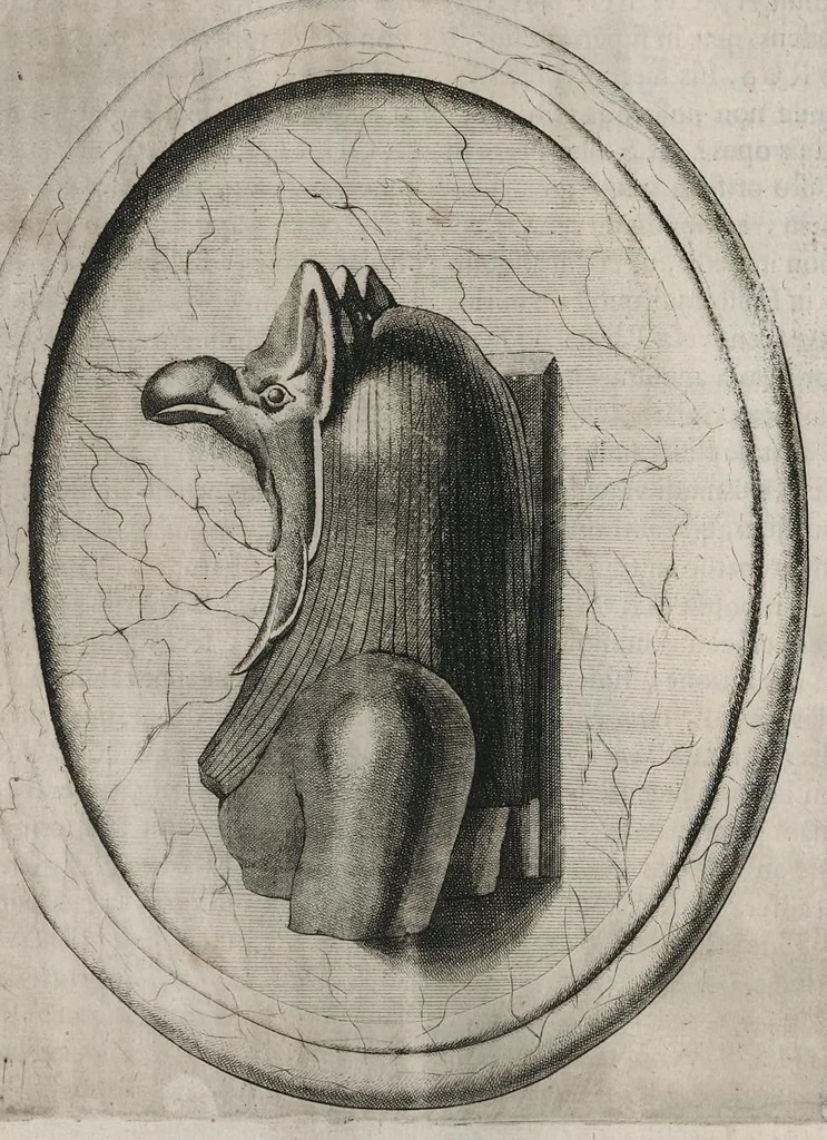 An illustration from Thesaurus Brandenburgicus selectus, sive, Gemmarum et numismatum Graecorum in cimeliarchio electorali Brandenburgico elegantiorum series, 1696, leaf 339