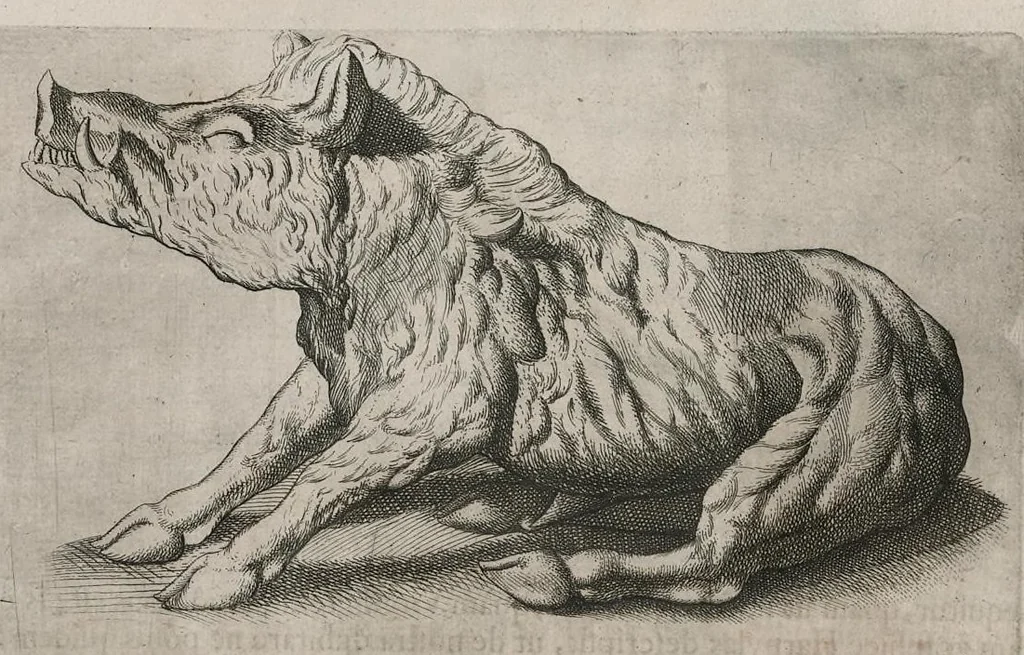 An illustration from Thesaurus Brandenburgicus selectus, sive, Gemmarum et numismatum Graecorum in cimeliarchio electorali Brandenburgico elegantiorum series, 1696, leaf 451