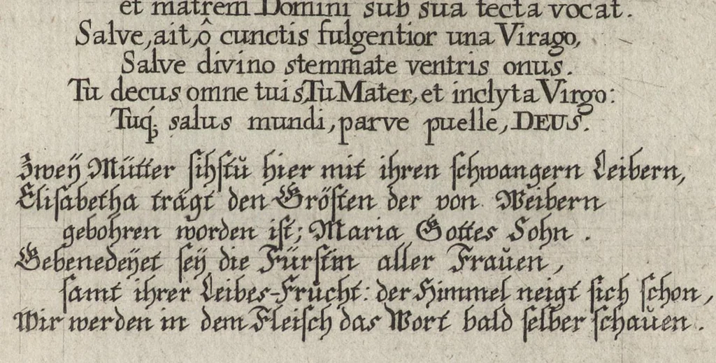 An illustration from Icones Biblicae Veteris et Novi Testamenti. Figuren Biblischer Historien Alten und Neuen Testaments, 1679, leaf 338