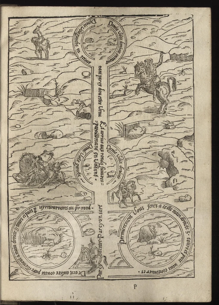 An illustration from L'ecvirie dv S. Federic Grison, gentilhomme napolitain : en laquelle est monstré l'ordre & l'art de choisir, dompter, piquer, dresser & manier les cheuaux, tant pour l'vsage de la guerre qu'autre commodité de lh́omme : auecques figures de diuerses sortes de mors de bride, 1575, leaf 132