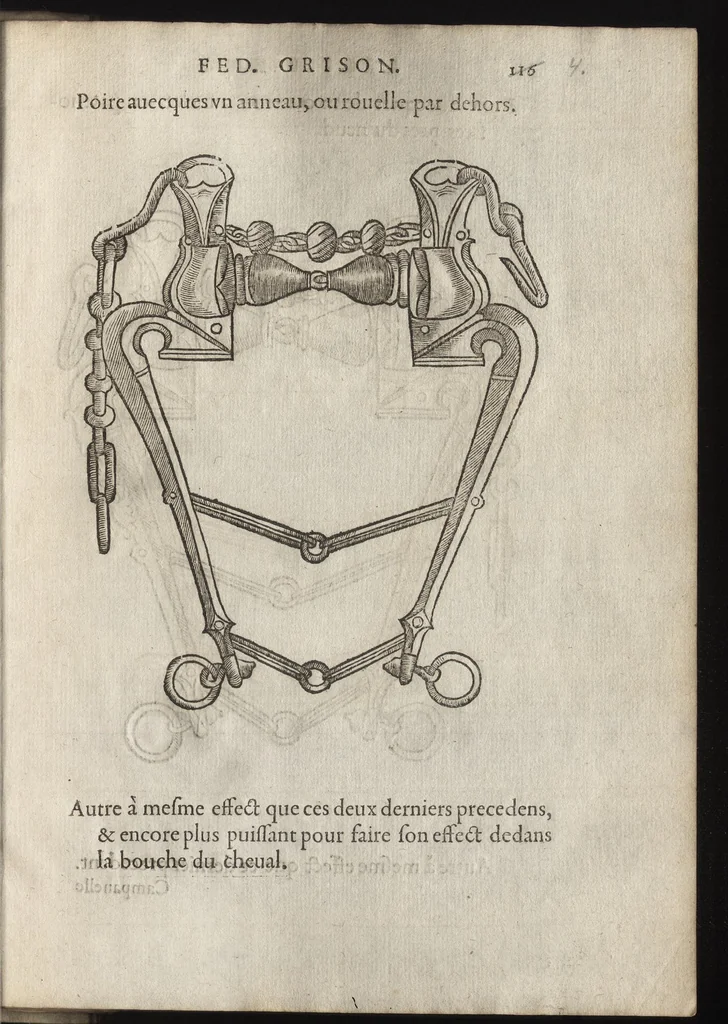 An illustration from L'ecvirie dv S. Federic Grison, gentilhomme napolitain : en laquelle est monstré l'ordre & l'art de choisir, dompter, piquer, dresser & manier les cheuaux, tant pour l'vsage de la guerre qu'autre commodité de lh́omme : auecques figures de diuerses sortes de mors de bride, 1575, leaf 198