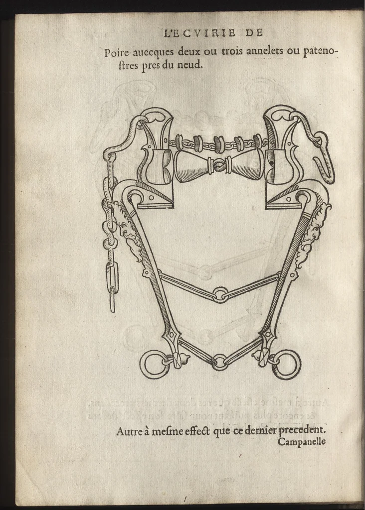 An illustration from L'ecvirie dv S. Federic Grison, gentilhomme napolitain : en laquelle est monstré l'ordre & l'art de choisir, dompter, piquer, dresser & manier les cheuaux, tant pour l'vsage de la guerre qu'autre commodité de lh́omme : auecques figures de diuerses sortes de mors de bride, 1575, leaf 199