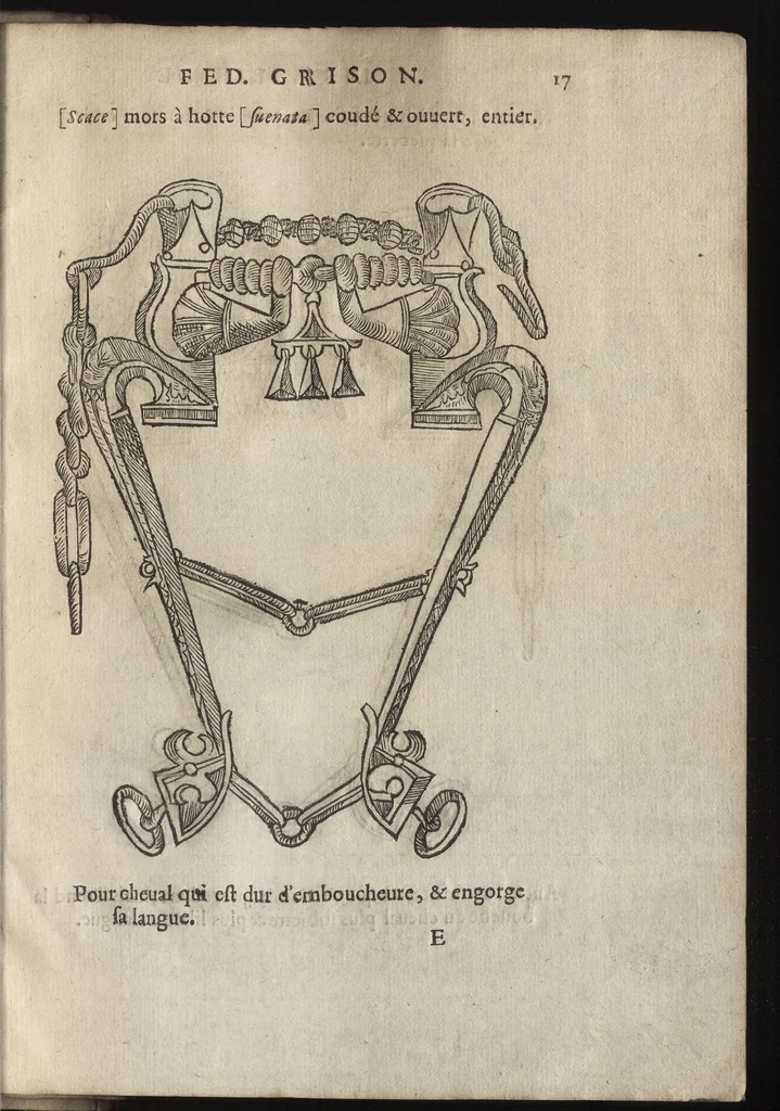 An illustration from L'ecvirie dv S. Federic Grison, gentilhomme napolitain : en laquelle est monstré l'ordre & l'art de choisir, dompter, piquer, dresser & manier les cheuaux, tant pour l'vsage de la guerre qu'autre commodité de lh́omme : auecques figures de diuerses sortes de mors de bride, 1575, leaf 224