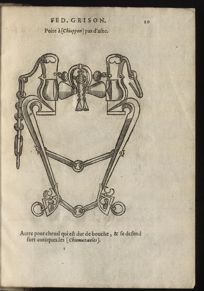 An illustration from L'ecvirie dv S. Federic Grison, gentilhomme napolitain : en laquelle est monstré l'ordre & l'art de choisir, dompter, piquer, dresser & manier les cheuaux, tant pour l'vsage de la guerre qu'autre commodité de lh́omme : auecques figures de diuerses sortes de mors de bride, 1575, leaf 230
