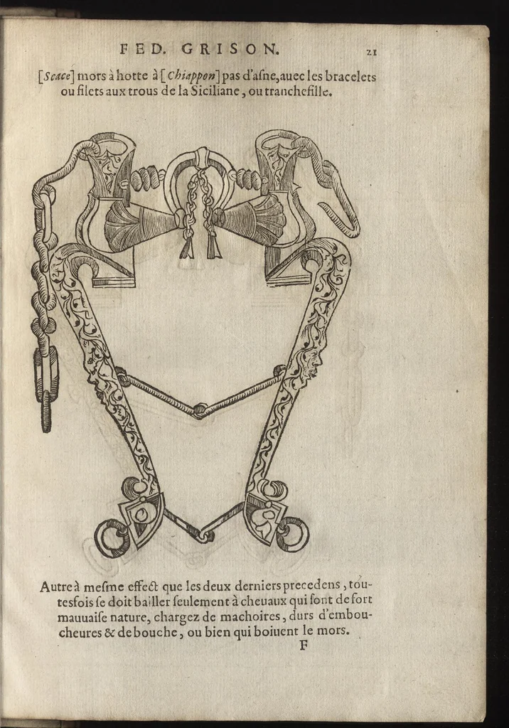 An illustration from L'ecvirie dv S. Federic Grison, gentilhomme napolitain : en laquelle est monstré l'ordre & l'art de choisir, dompter, piquer, dresser & manier les cheuaux, tant pour l'vsage de la guerre qu'autre commodité de lh́omme : auecques figures de diuerses sortes de mors de bride, 1575, leaf 232