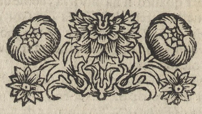 An illustration from Le bellezze della città di Firenze : dove a pieno di pittura, di scultura, di sacri templi, di palazzi, i più notabili artifizj, e più preziosi si contengono, 1677, leaf 637
