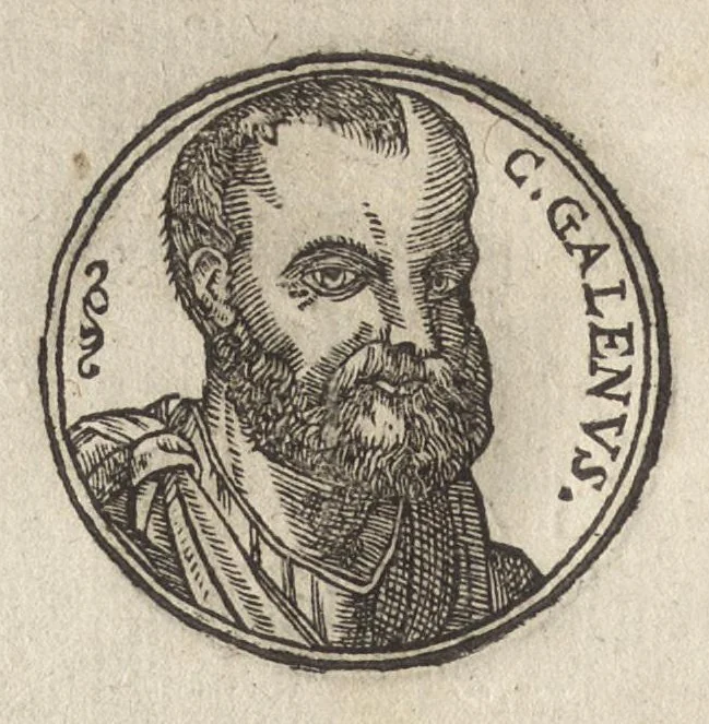An illustration from Promtvarii iconvm insigniorvm à secvlo hominvm, subiectis eorum vitis, per compendiũ ex probatissimis autoribus desumptis, editio secunda : illustrium virorum, qui à prima successerunt, imaginibus aucta atque locupletata, 1578, leaf 495