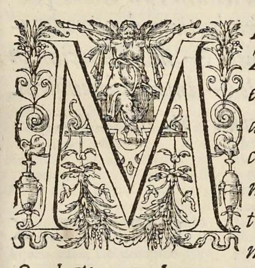 An illustration from Opera Ioan. Goropii Becani : hactenus in lucem non edita : nempe, Hermathena, Hieroglyphica, Vertvmnvs, Gallica, Francica, Hispanica, 1580, leaf 276