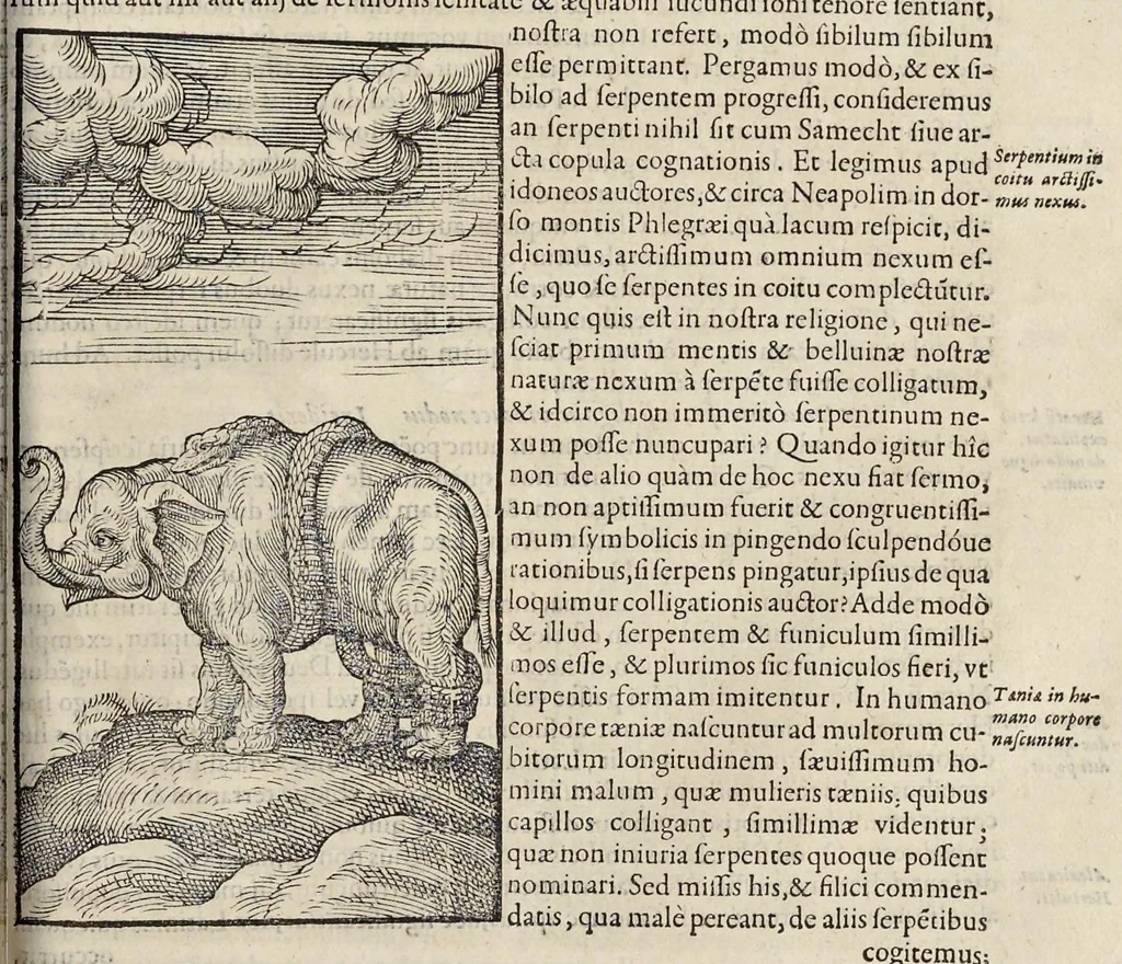 An illustration from Opera Ioan. Goropii Becani : hactenus in lucem non edita : nempe, Hermathena, Hieroglyphica, Vertvmnvs, Gallica, Francica, Hispanica, 1580, leaf 502